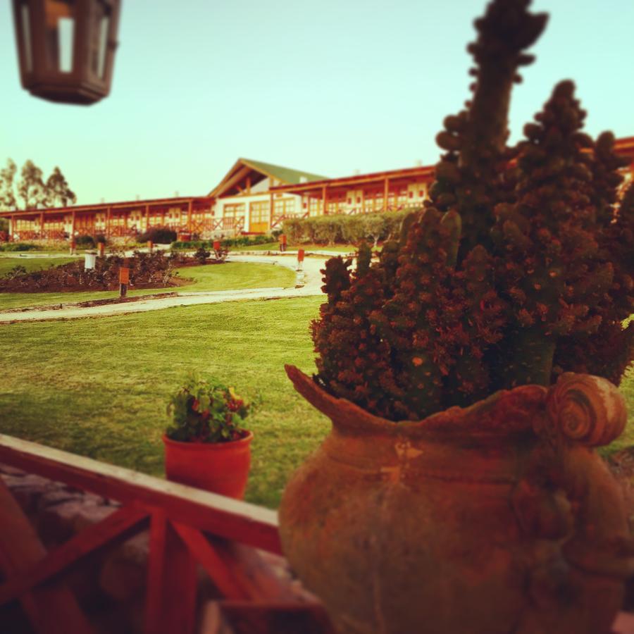 Hacienda Santa Cristina Hotell Ovalle Exteriör bild